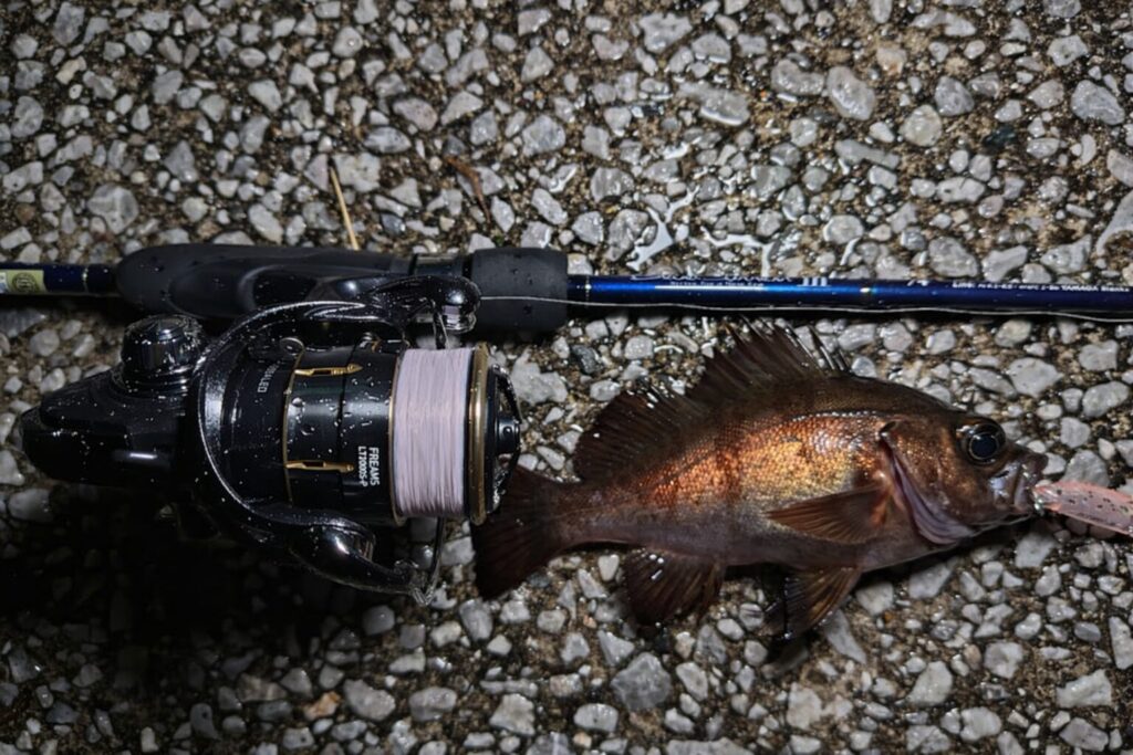 26フリームス メバリングで使用