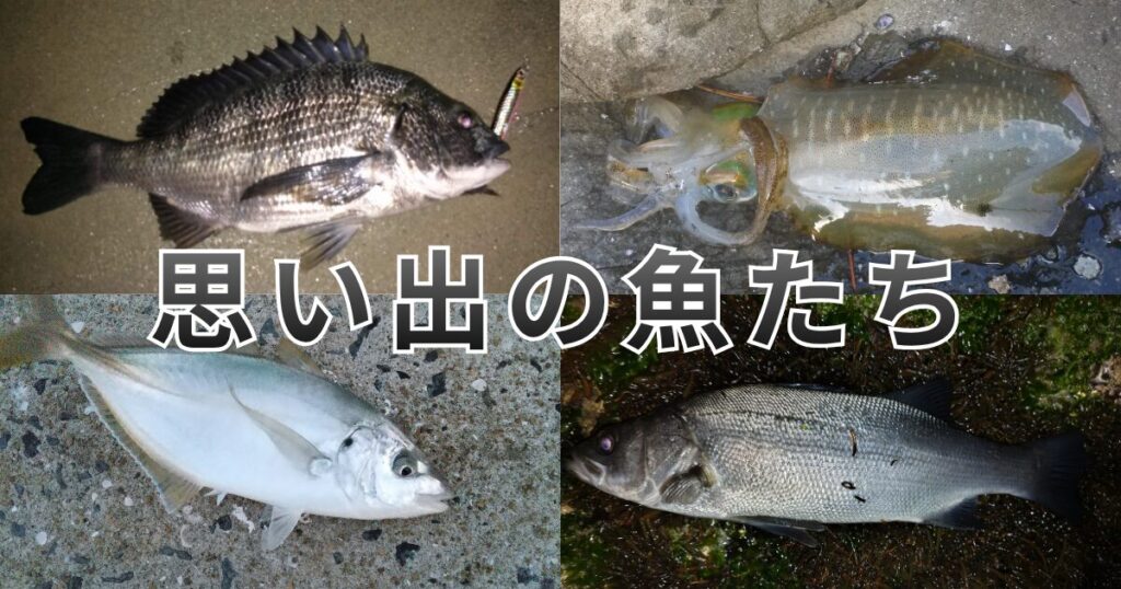 思い出の魚たち