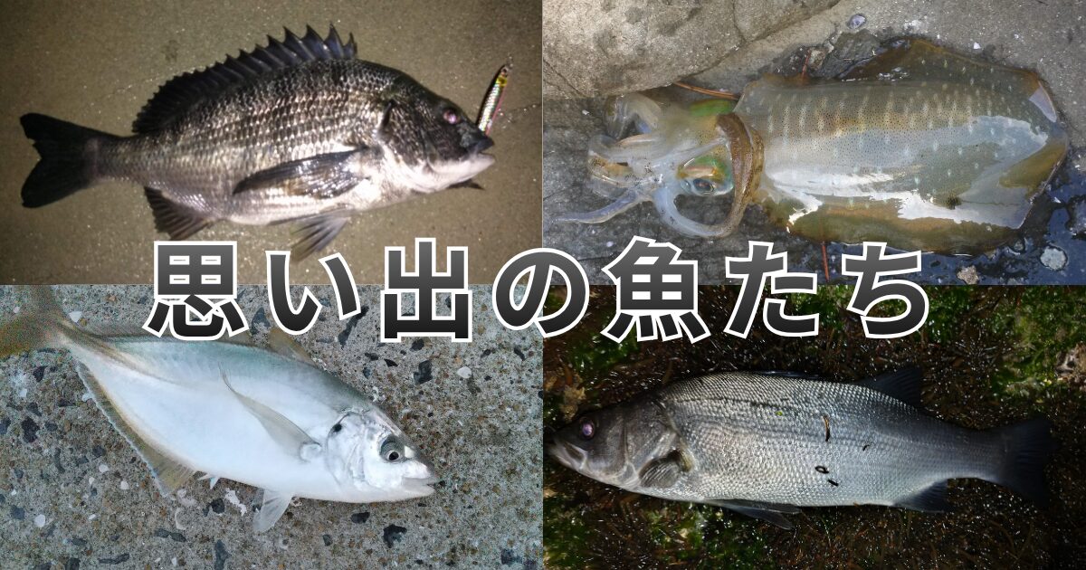 思い出の魚たち