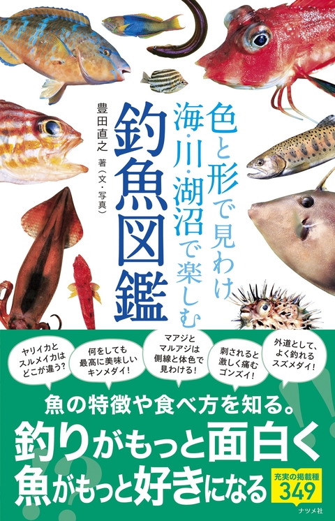 色と形で見わけ 海・川・湖沼で楽しむ 釣魚図鑑