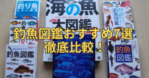 釣魚図鑑おすすめ7選を徹底比較！持ち歩き・見わけやすさで選ぶ失敗